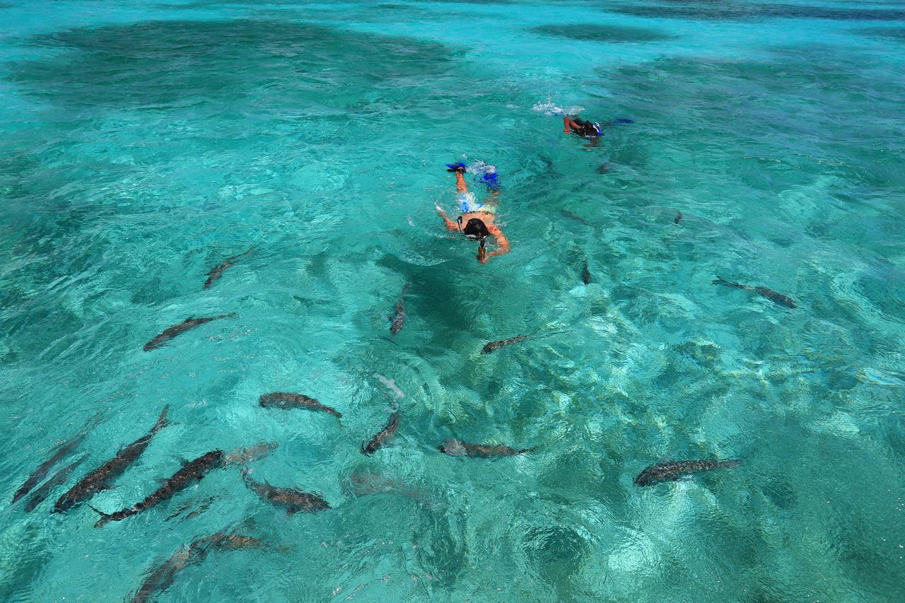 Cayo Espanto San Pedro  Extérieur photo